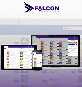 Falcon theme